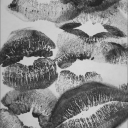 dewdropkisses avatar