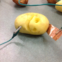 dexteritypoints avatar