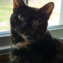 dexterous-sinistrous avatar