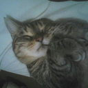 dexterousdawdler avatar