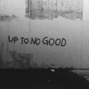 dexterthewolf avatar