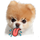 dey-eat-da-poopoo avatar