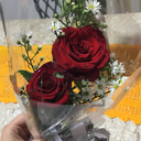 dezembro-7-blog avatar