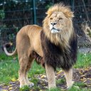 dffydytre36rtctp7 avatar