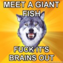 dfordamager-blog avatar