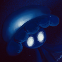 dhs-in-distress avatar