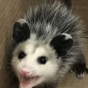 diabeticfiftypoundmudkip avatar