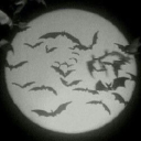 diablo1234491 avatar