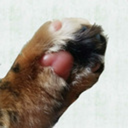 diabolical-hobbit avatar