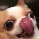 diagon--alley avatar