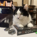 diagonalpliers avatar