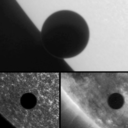 dialectical-induction avatar