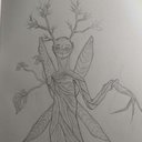 dialecticaldingus avatar