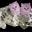 diamond-cat avatar