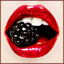 diamond-stud-blog avatar