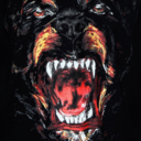 diamondfortuns-blog avatar