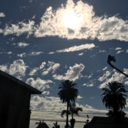 diamondmonarch avatar