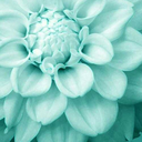 diamondnightdreamer avatar