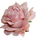 dianadinutza26 avatar