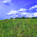 dianadoppelganger avatar