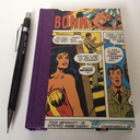 dianaprincesdiary avatar