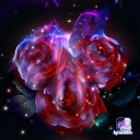 diangelo4life avatar