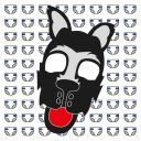 diaperbutt-pup avatar