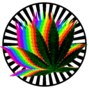 diariodacannabis1 avatar