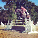 diary-of-a-junior-rider avatar