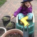 diary-of-a-pretentious-asshole avatar