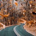 diary-of-apathy avatar