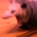 diaryofadimwit avatar