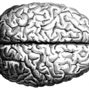 diaryofamed-student avatar