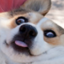 diaryofanneskank-blog avatar