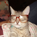 diaryofarecoveringshrew avatar