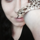 dick-buttkiss avatar