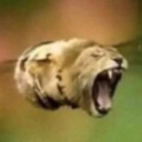 dick388292828282 avatar