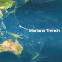 dickbasketfulloftears avatar