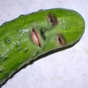 dicklepickle avatar