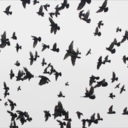 did-you-miss-moi avatar