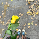 didartay13-blog avatar