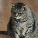 didntbeatmetothisusername avatar