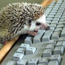 didyousayfandom avatar