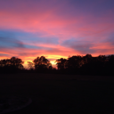 died-in-a-pool-blog avatar