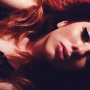 dieee-wilddd-blog avatar