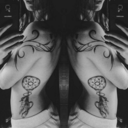 dieimmer-lacht avatar