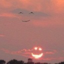 dierctorlikeme avatar