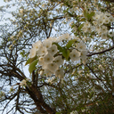 diesistkeinblog avatar