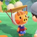 dietanimalcrossing avatar