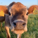 dietcokeangel2004 avatar